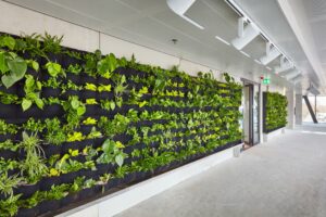 Groene plantenwand in een modern kantoorpand aan de Joan Muyskenweg.